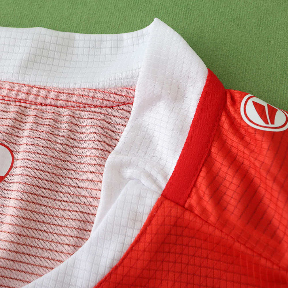 2425 season VfB Stuttgart away Fan version