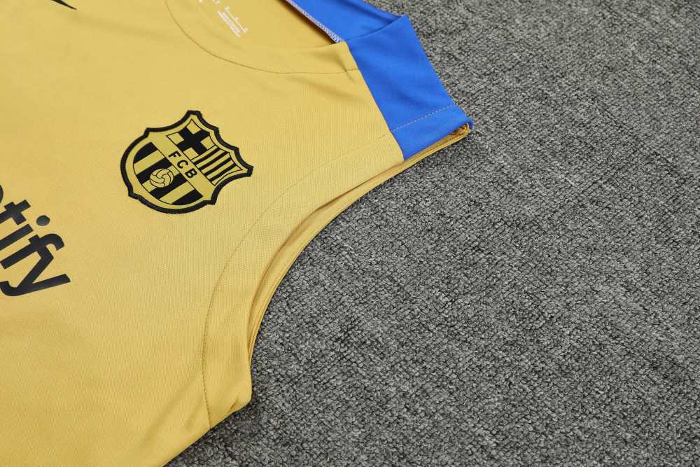 2425 FC Barcelona / Barça Training clothes suit vest Fan version