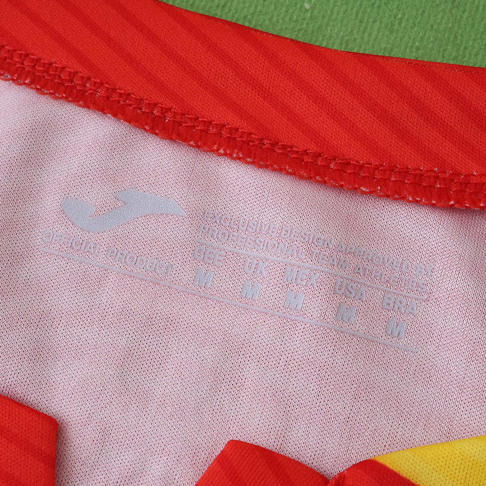 2526 season Romania away Fan version