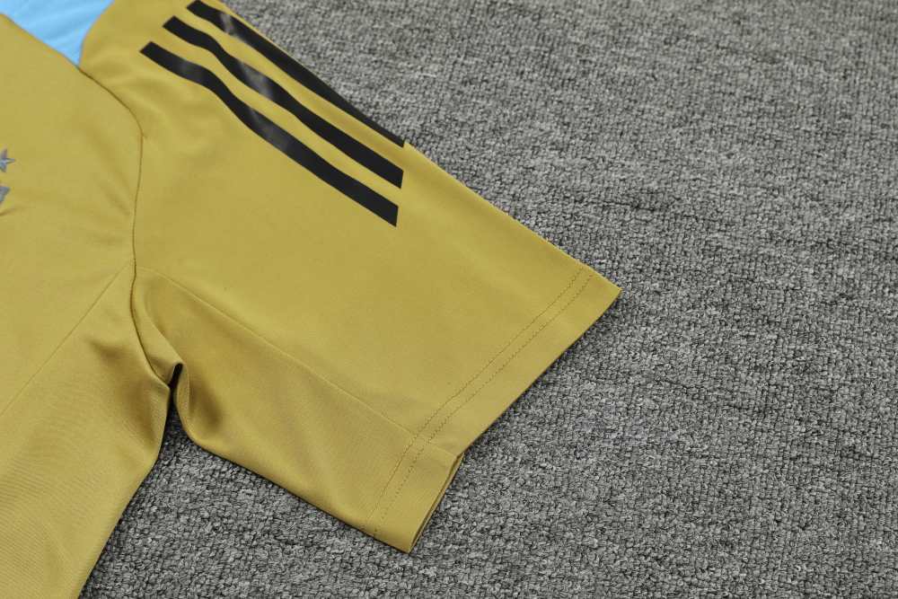 2425 Argentina Training clothes suit Short sleeve Fan version
