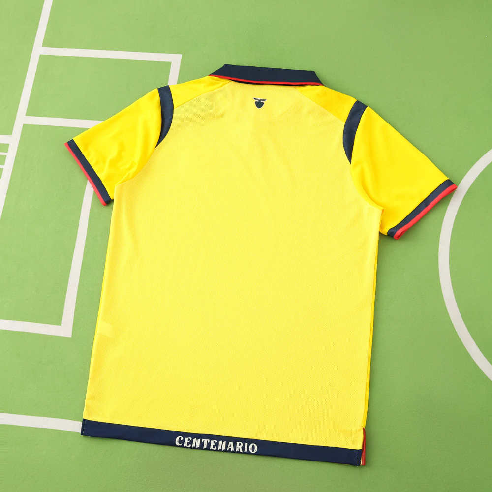 2526 season Ecuador away Fan version