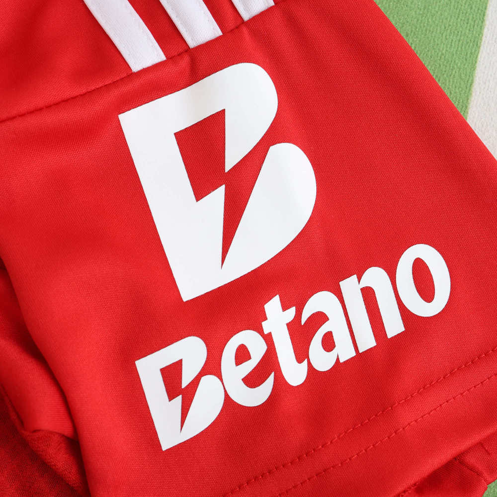 2425 season Benfica home Fan version