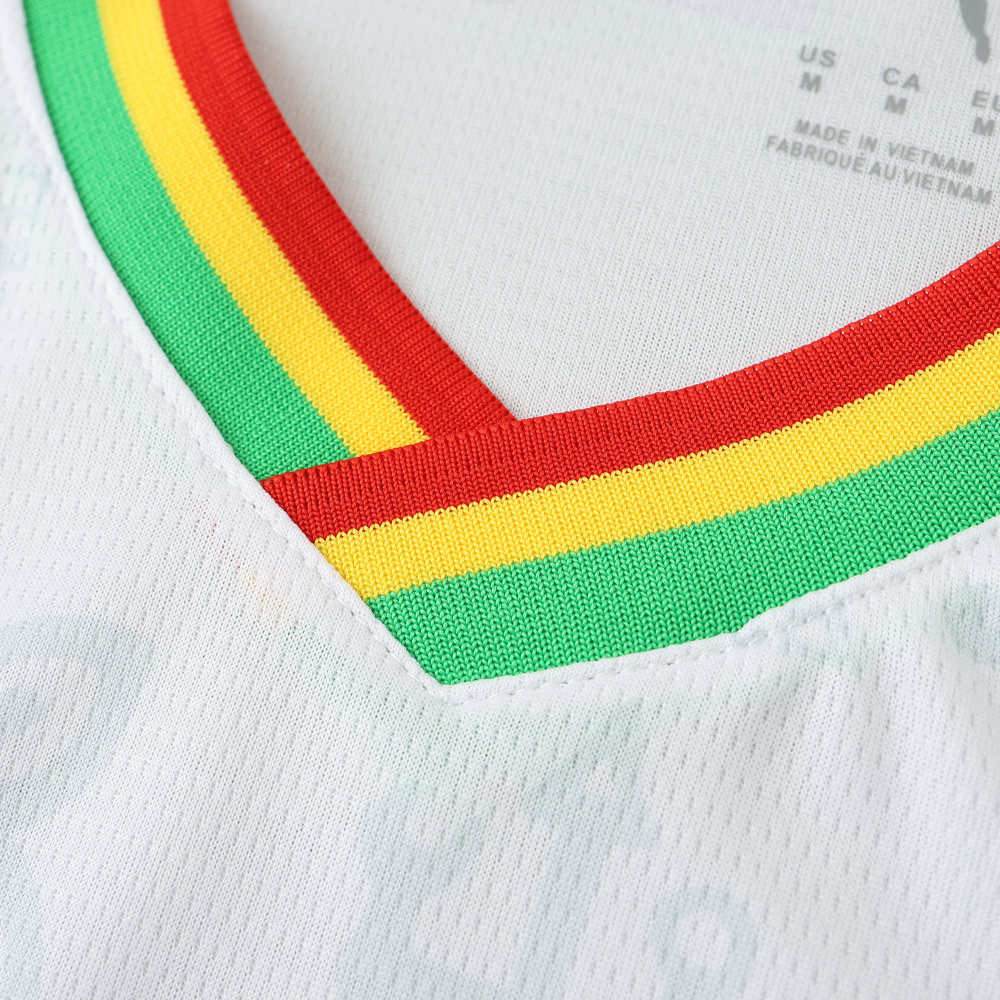 2526 season Ghana home Fan version