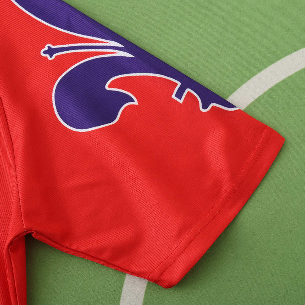 9596 season ACF Fiorentina third Fan version