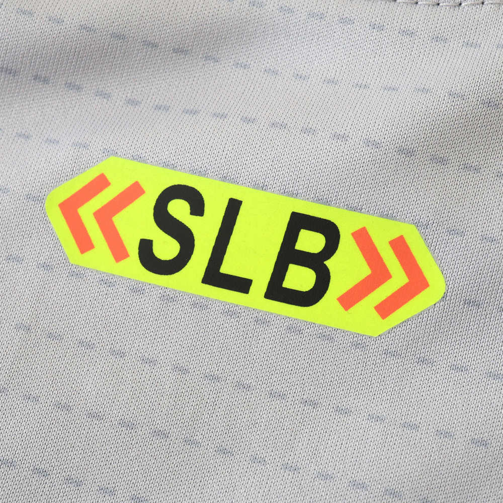 2425 season S.L. Benfica third Fan version