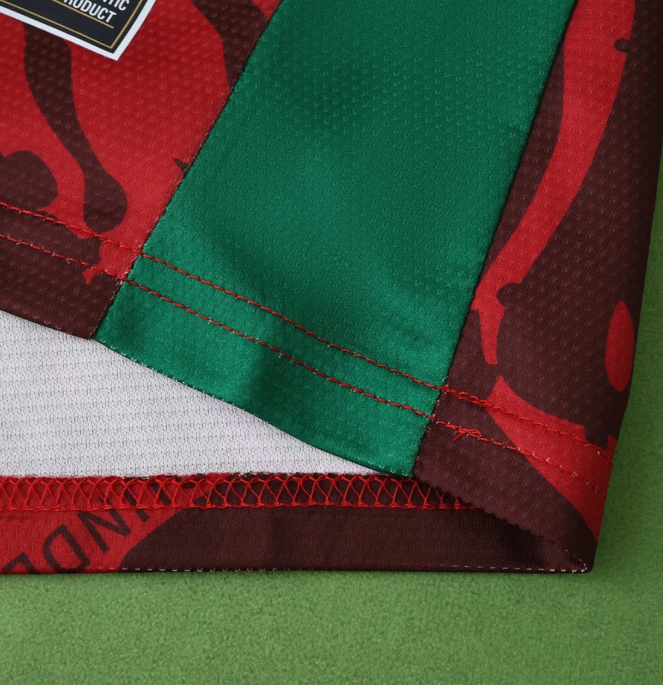 2526 season Cameroon away Fan version