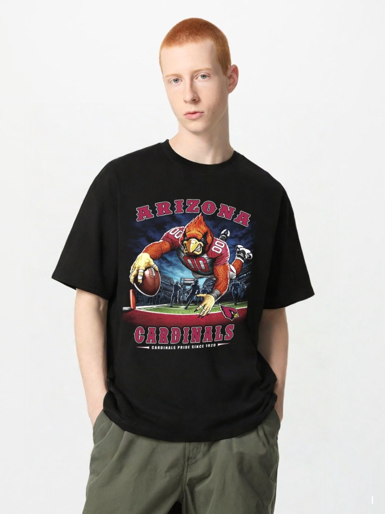 CARDINALS Vintage t-shirt 2506A004