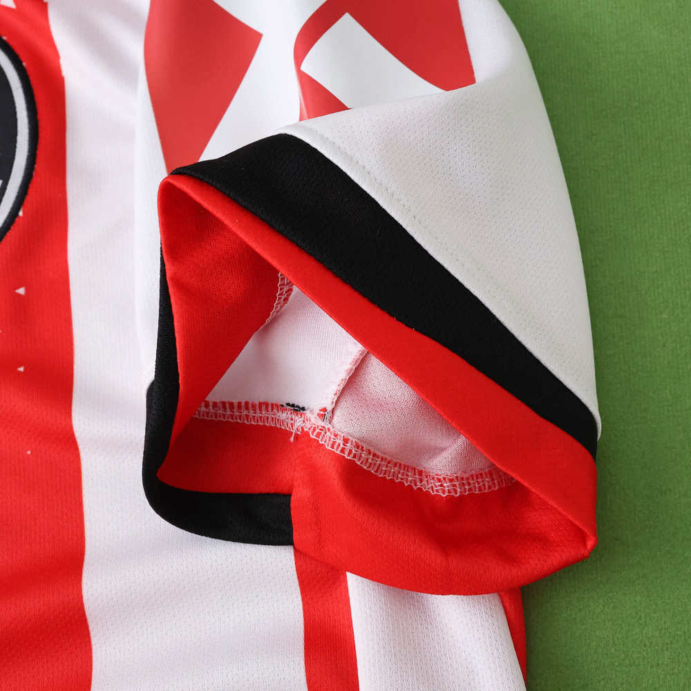2526 season SC Freiburg home Fan version