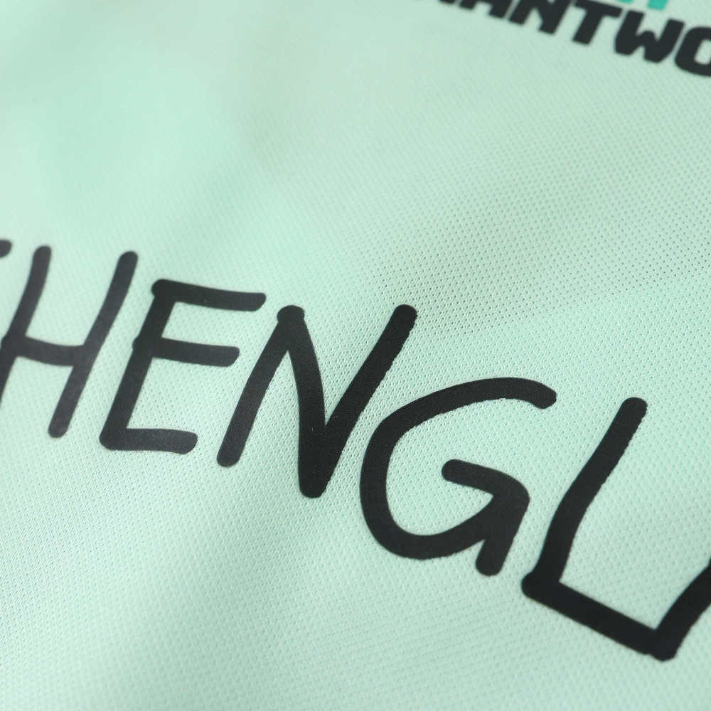 2425 season Borussia Mönchengladbach Concept version Fan version