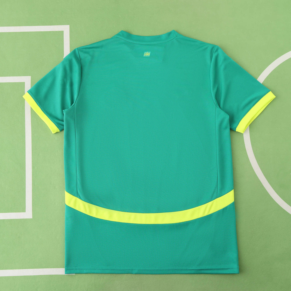 2526 season Senegal away Fan version