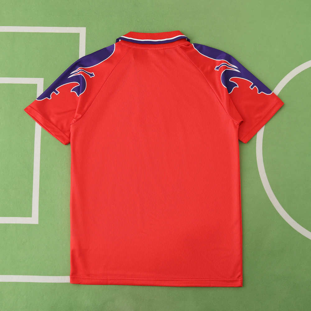 9596 season ACF Fiorentina third Fan version