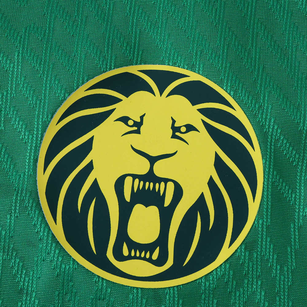 2526 season Cameroon home Player version