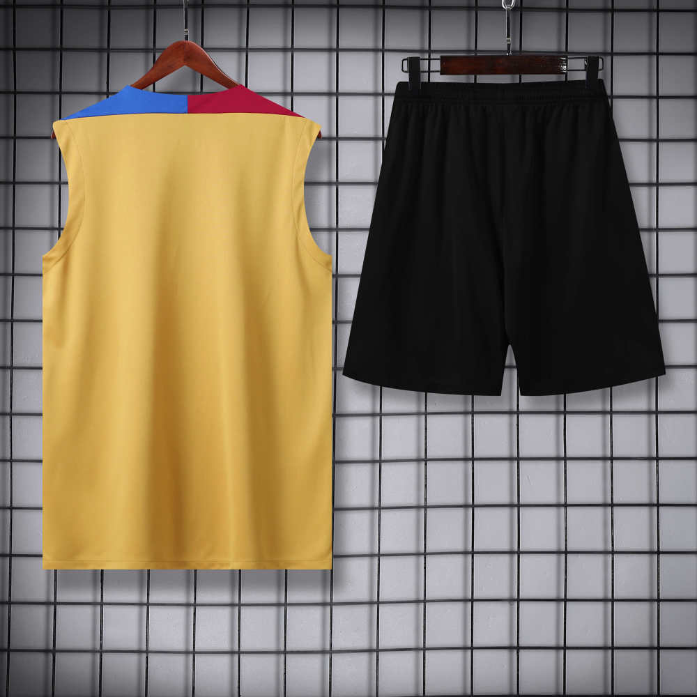 2425 FC Barcelona / Barça Training clothes suit vest Fan version