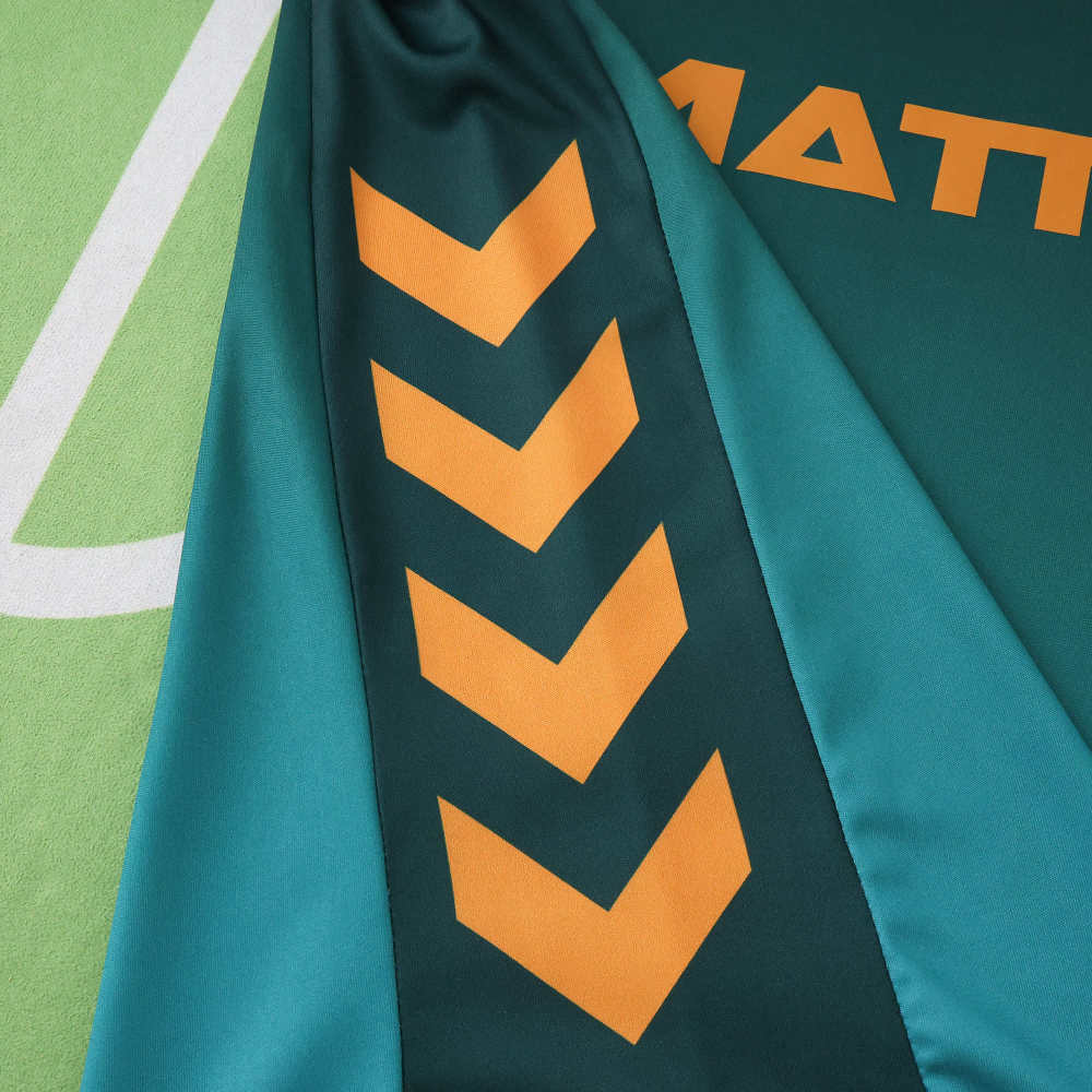 2526 season SV Werder Bremen third Fan version