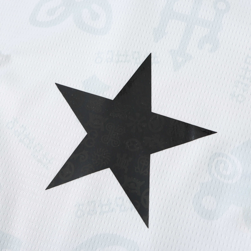 2526 season Ghana home Fan version