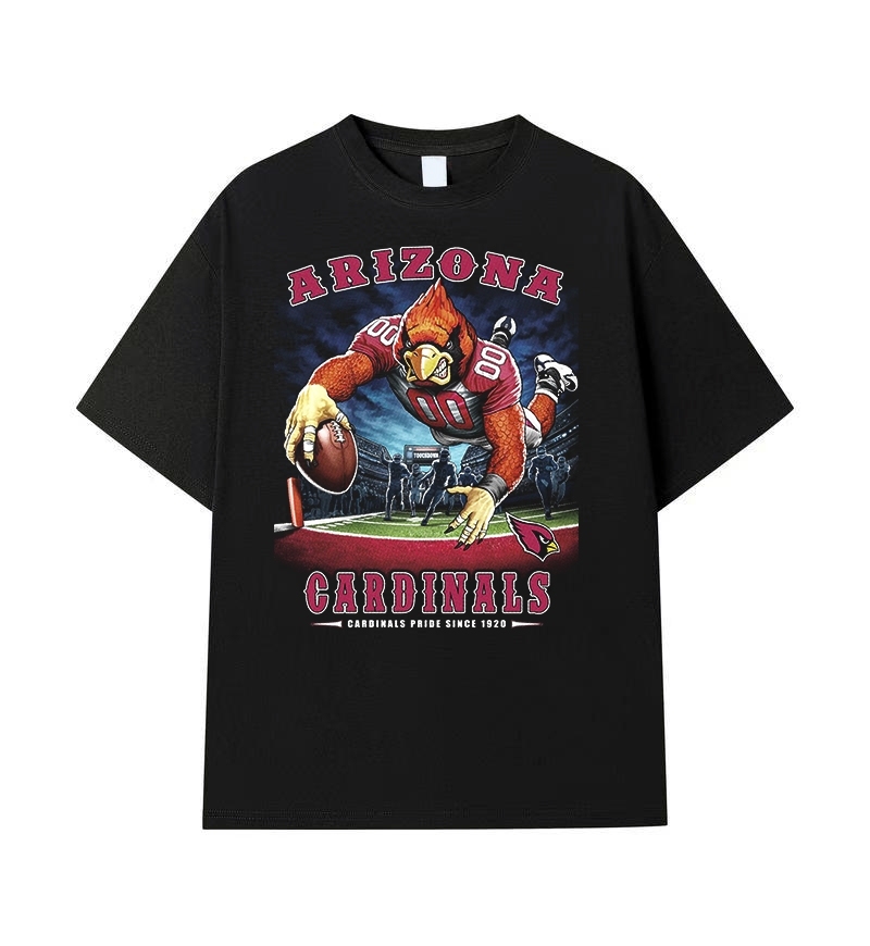 CARDINALS Vintage t-shirt 2506A004