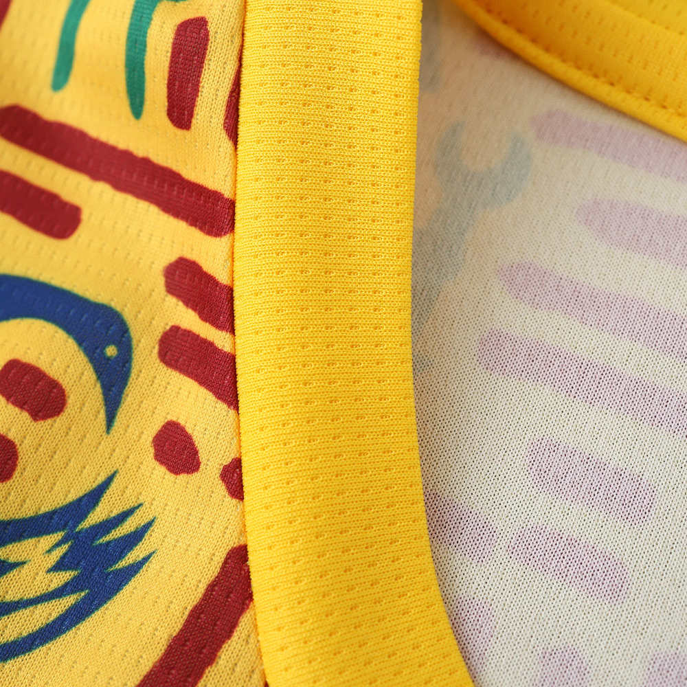 2526 season Ghana Training clothes Fan version