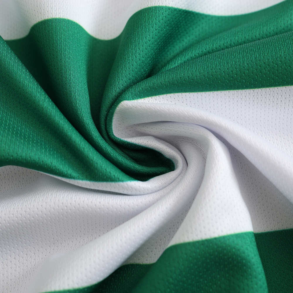 2425 season Celts home Fan version