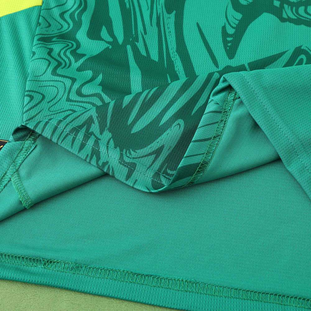 2526 season Senegal away Fan version