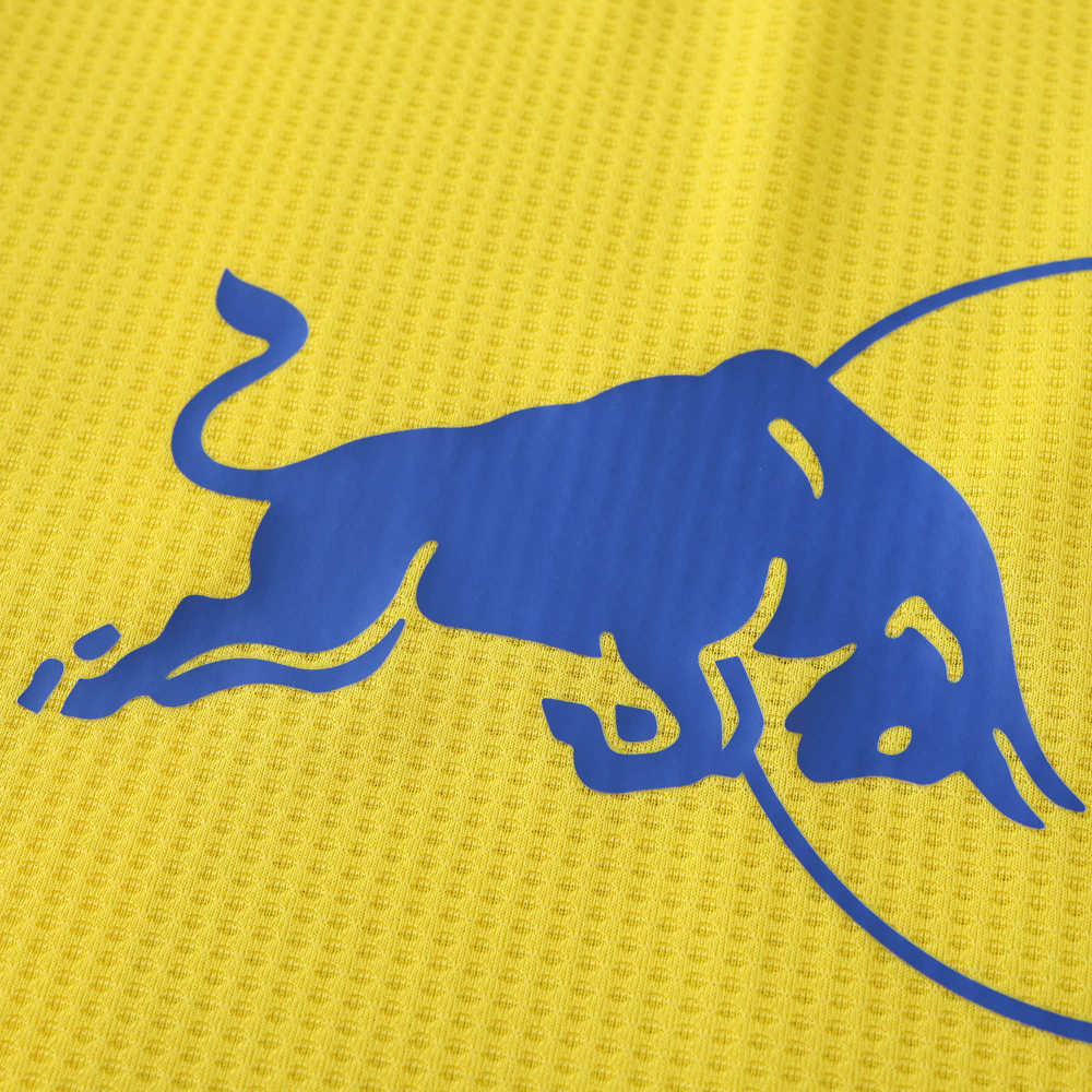 2425 season Leeds United F.C. away Fan version