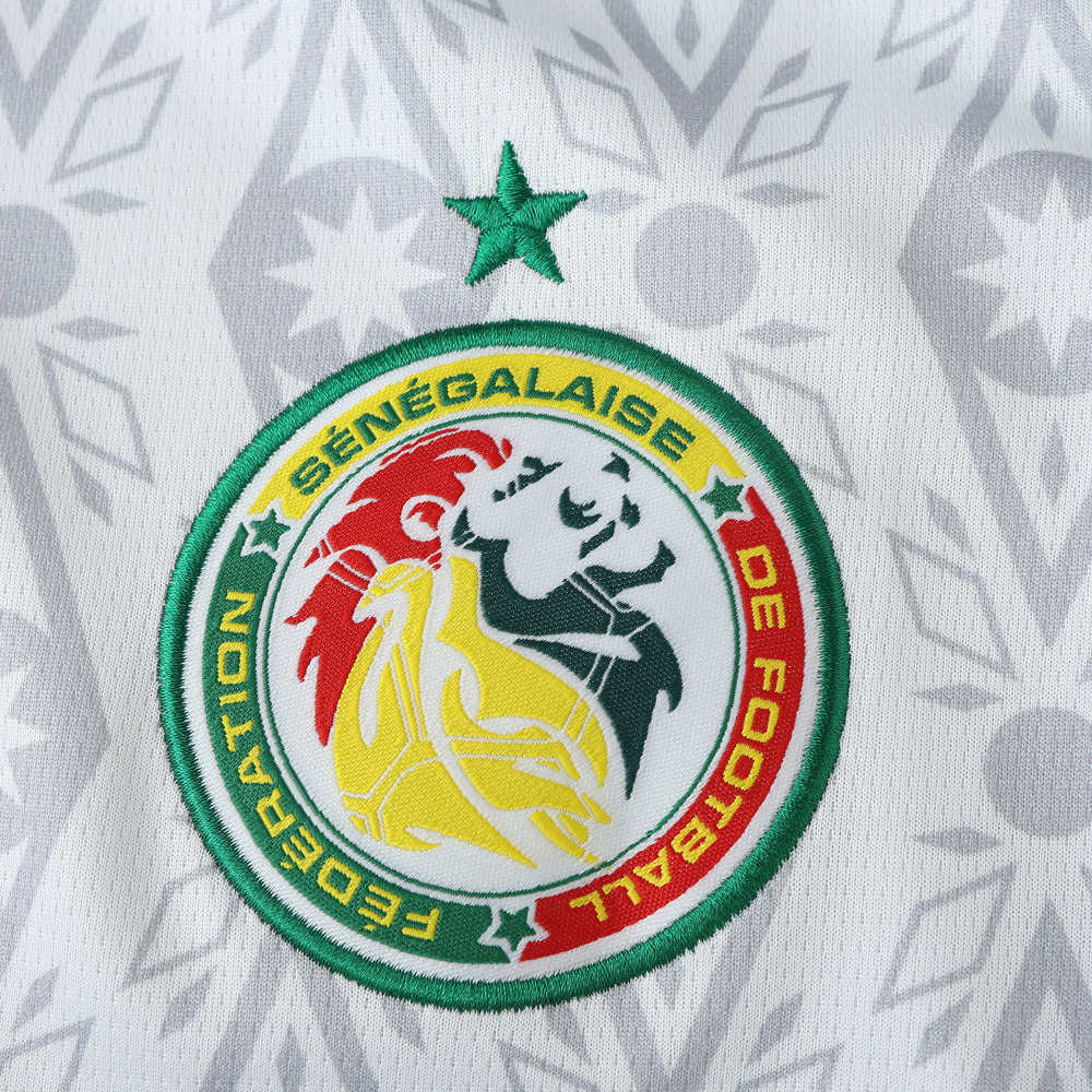 2425 season Senegal home Fan version