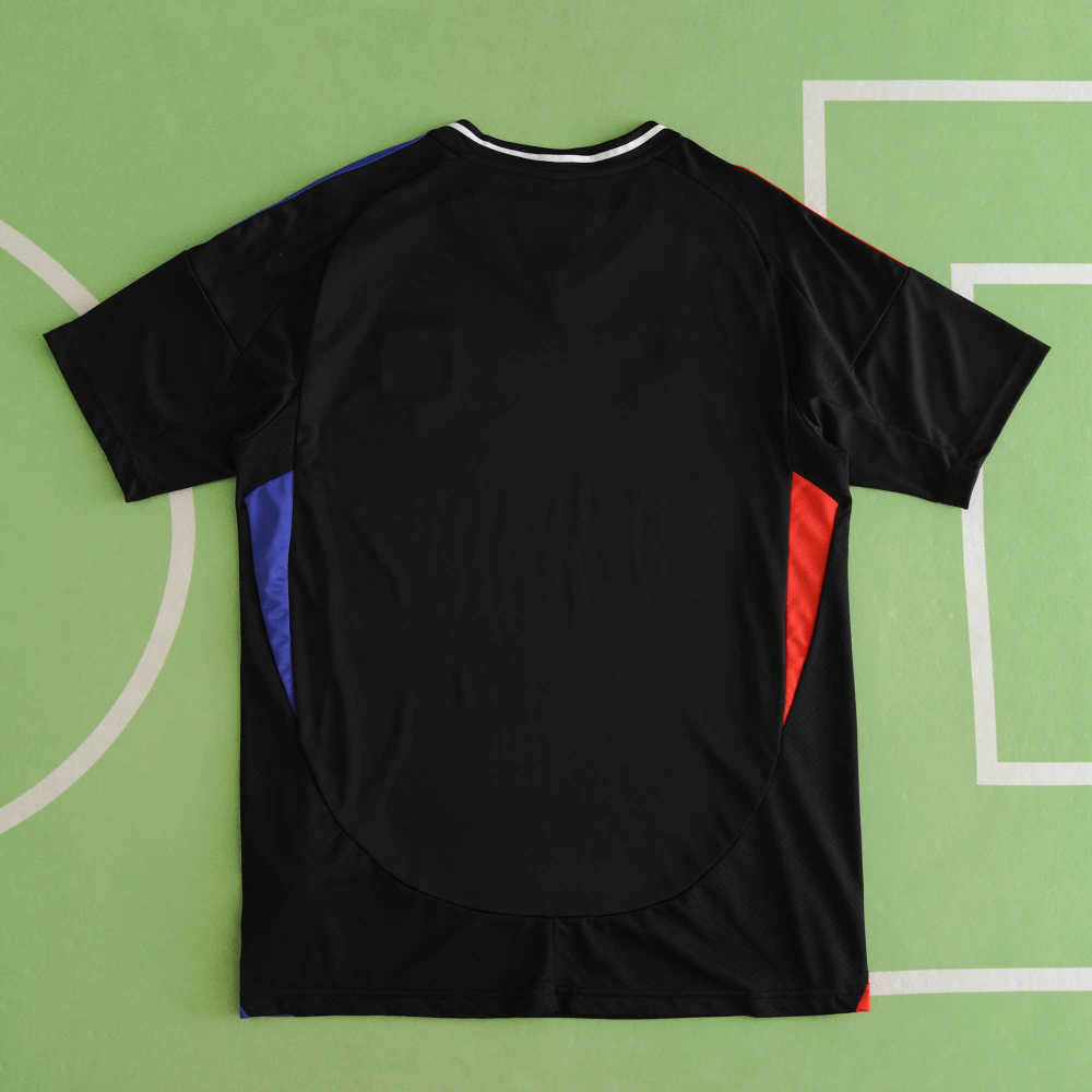 2425 season Lyonnais away Fan version