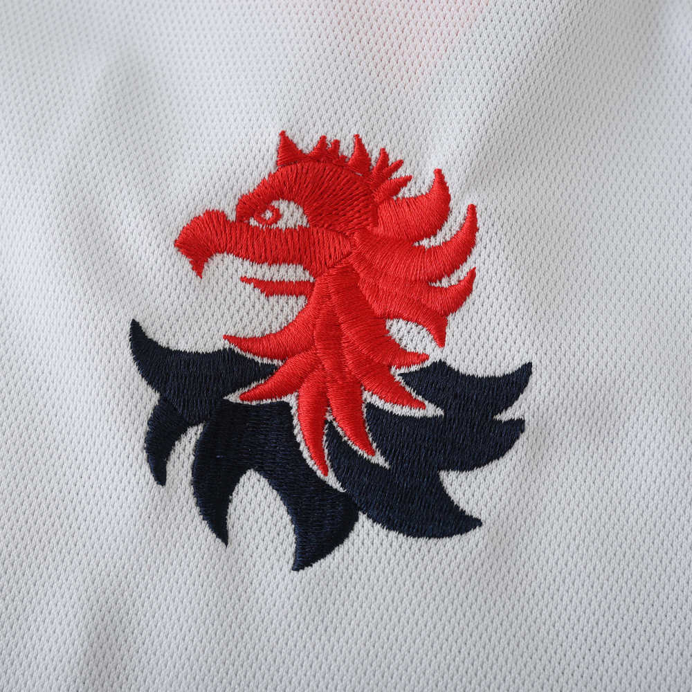 2425 season Genoa C.F.C. away Fan version