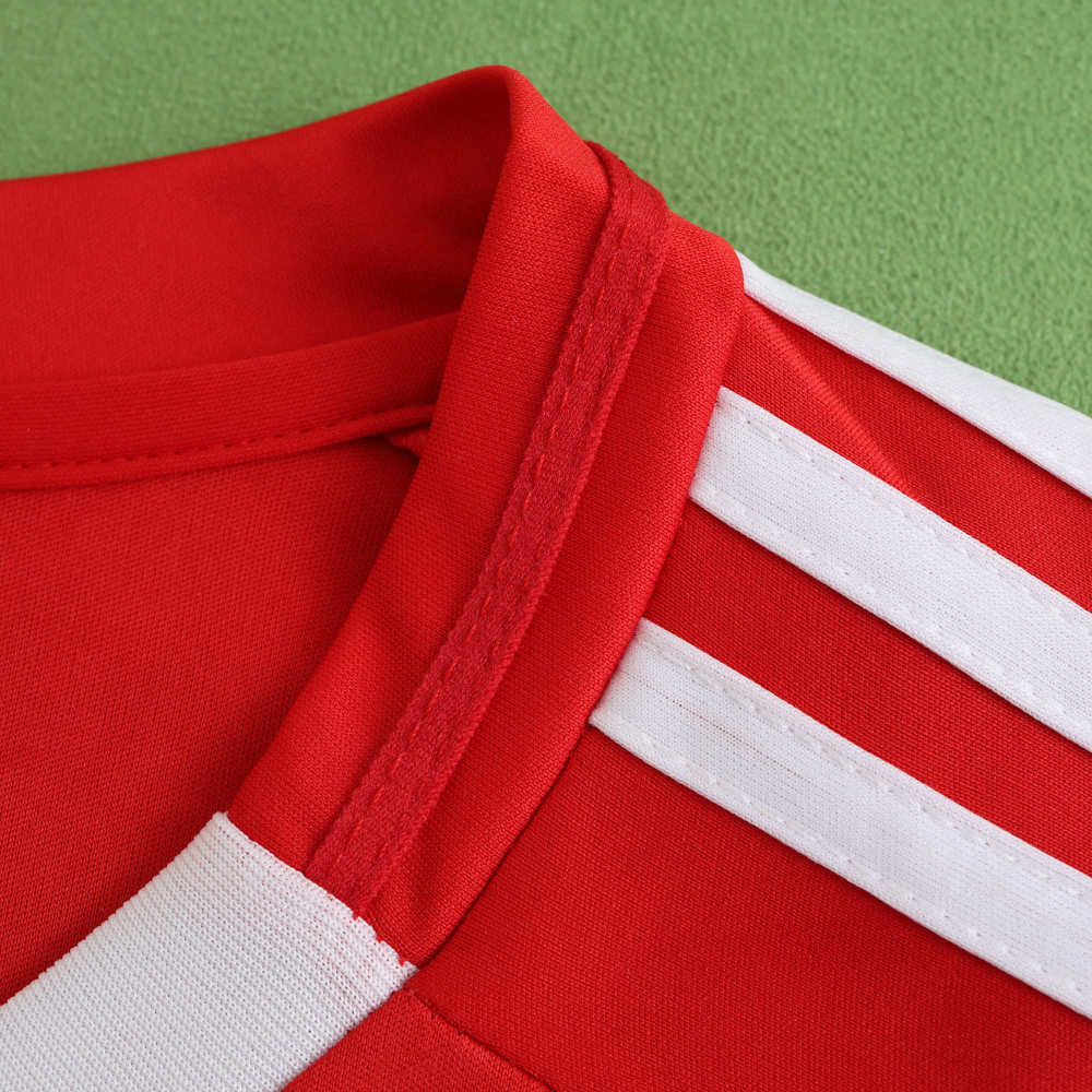 2425 season Benfica home Fan version