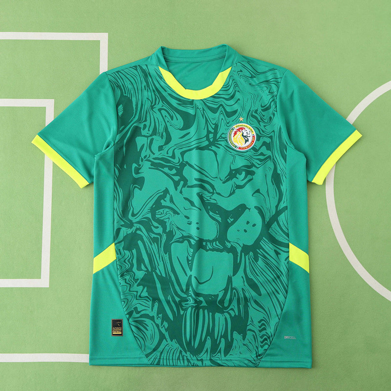 2526 season Senegal away Fan version