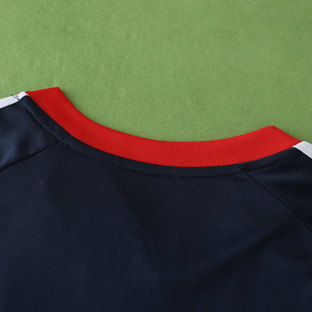 2425 season Hamburger SV away Fan version