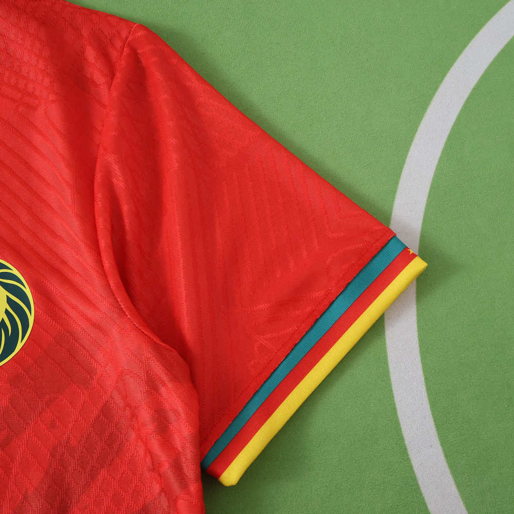 2526 season Cameroon away Player version