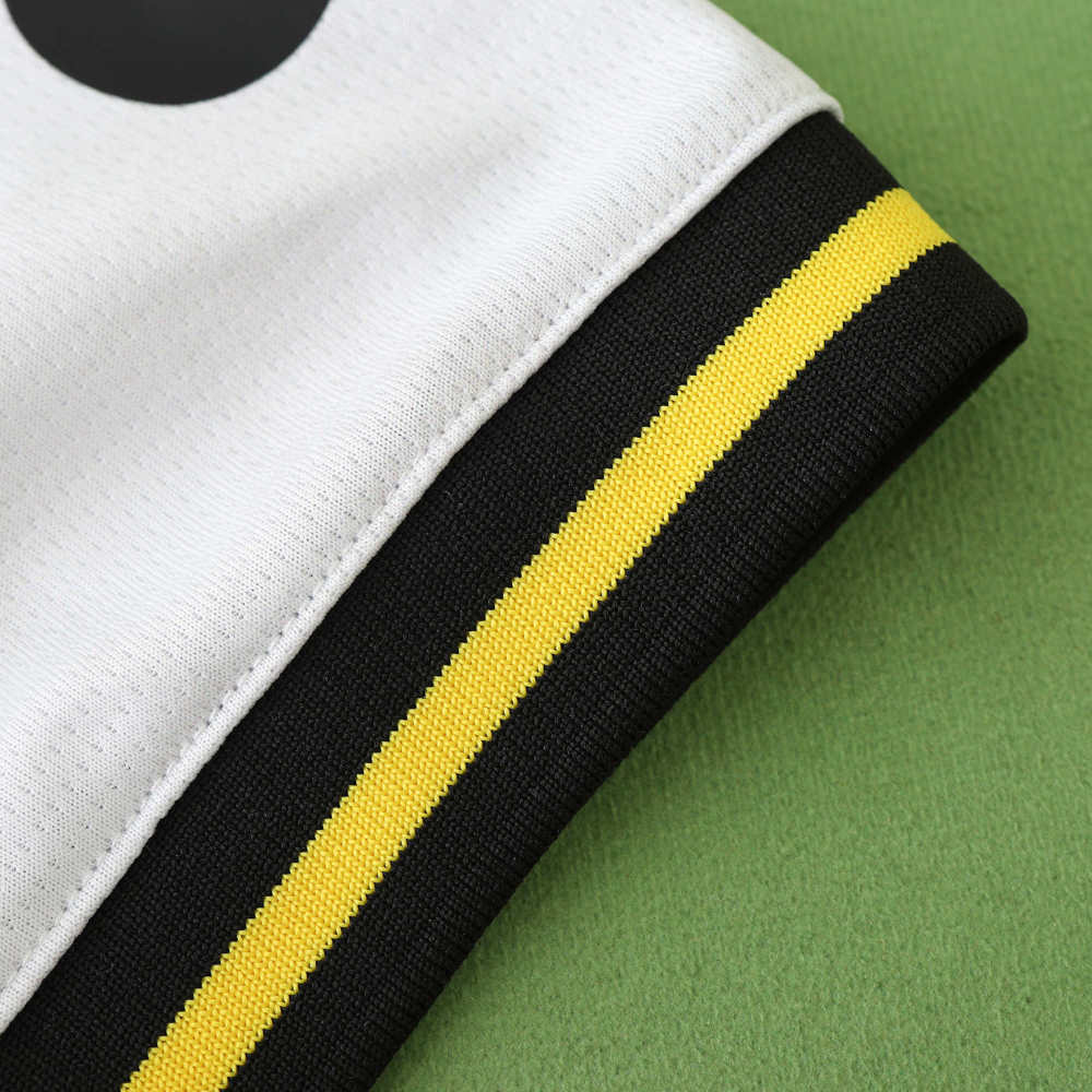2425 season Borussia Dortmund third Fan version