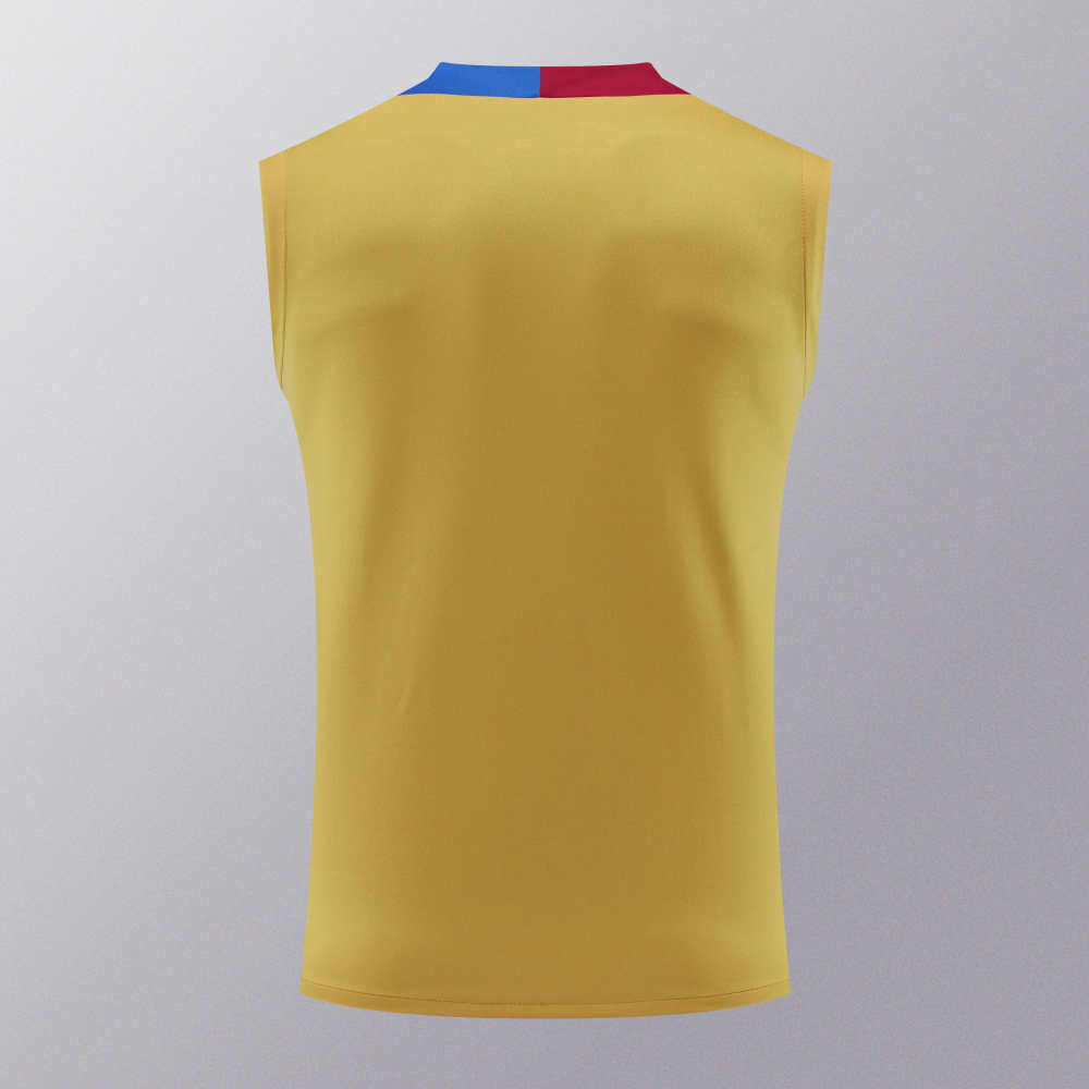 2425 FC Barcelona / Barça Training clothes suit vest Fan version