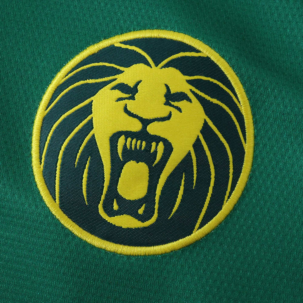 2526 season Cameroon home Fan version
