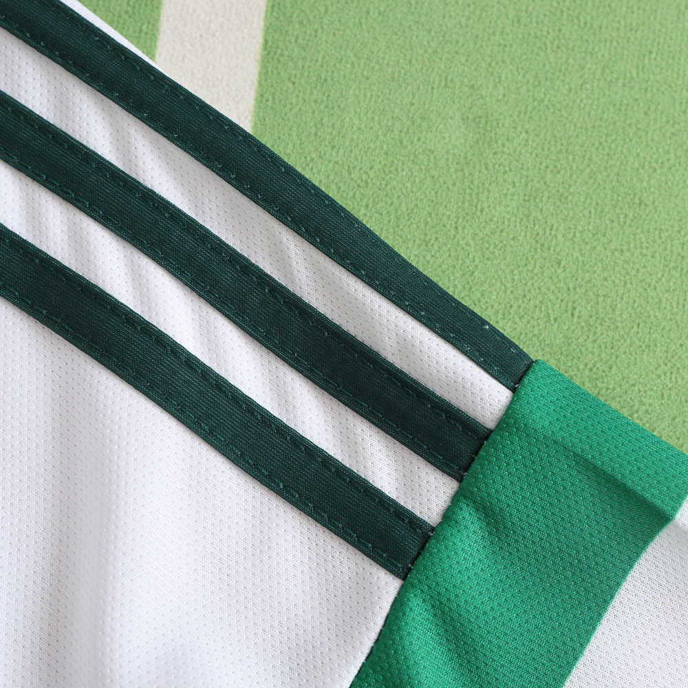2425 season Celts home Fan version