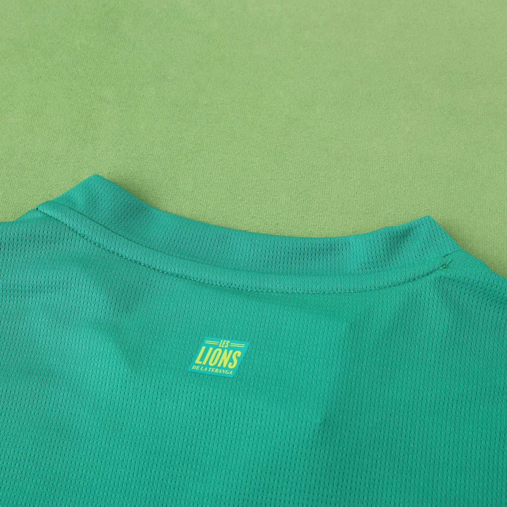 2526 season Senegal away Fan version