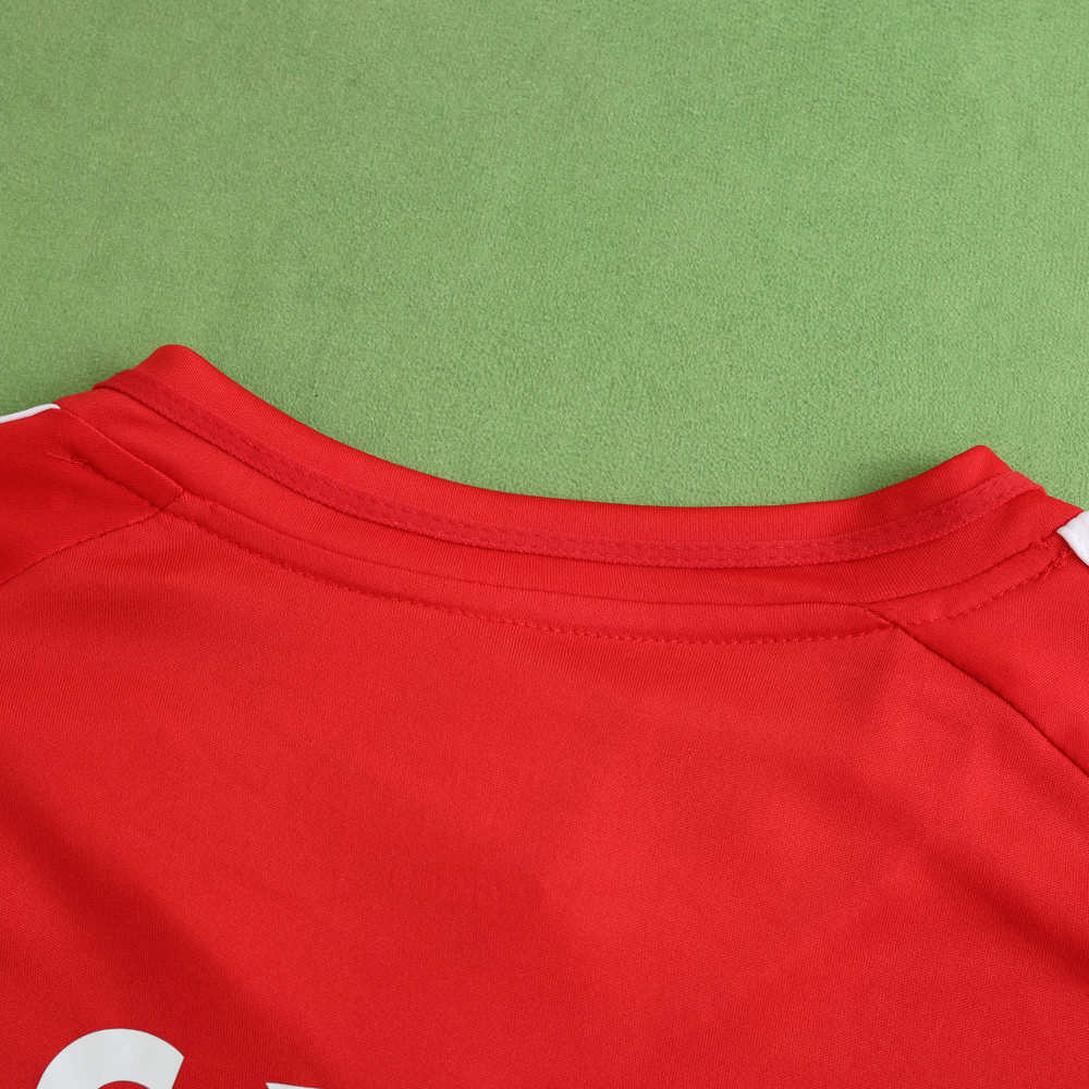 2425 season Benfica home Fan version