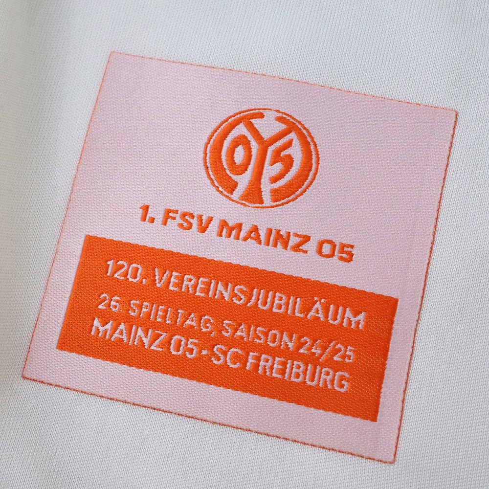 2526 season 1. FSV Mainz 05  Concept version Fan version