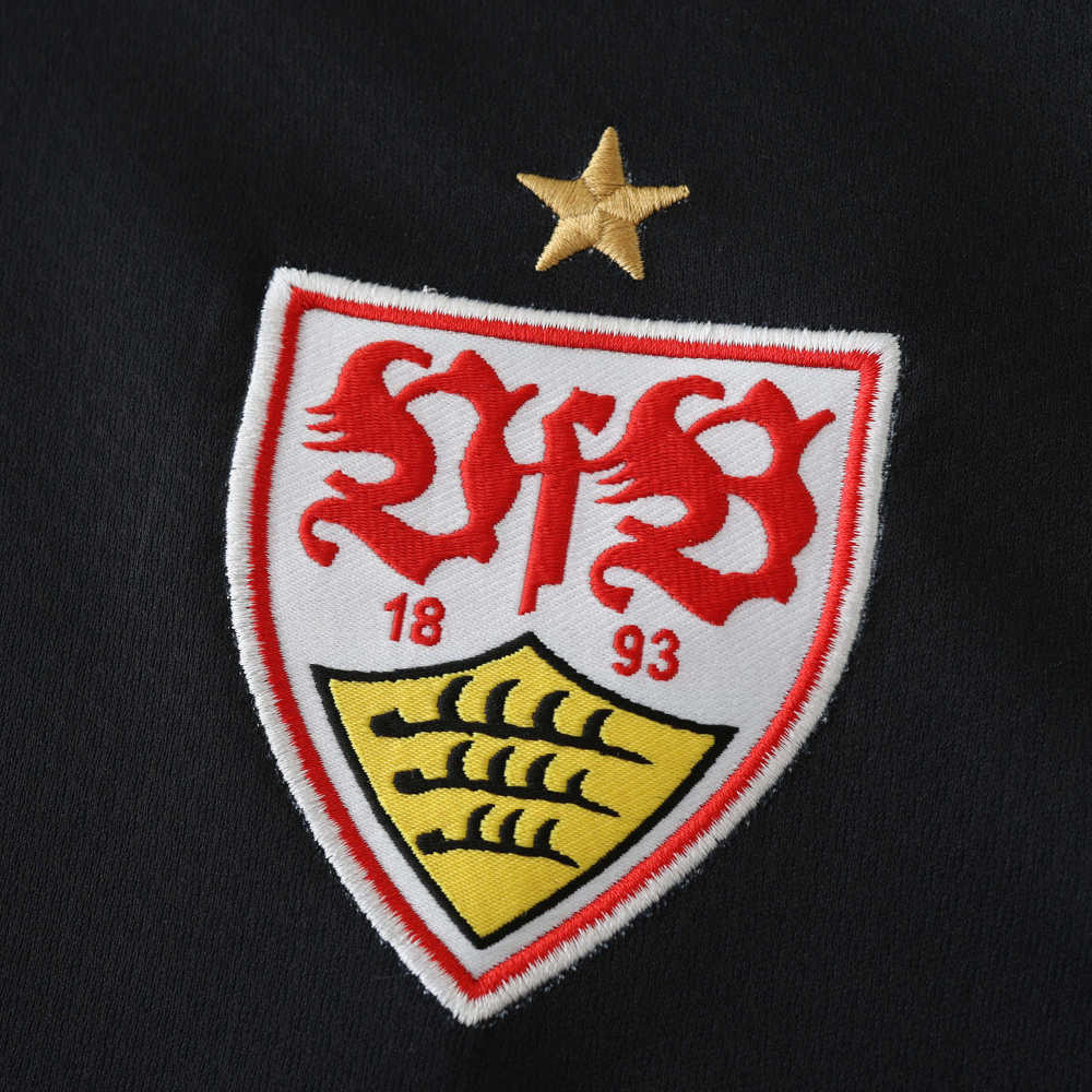 2425 season VfB Stuttgart third Fan version