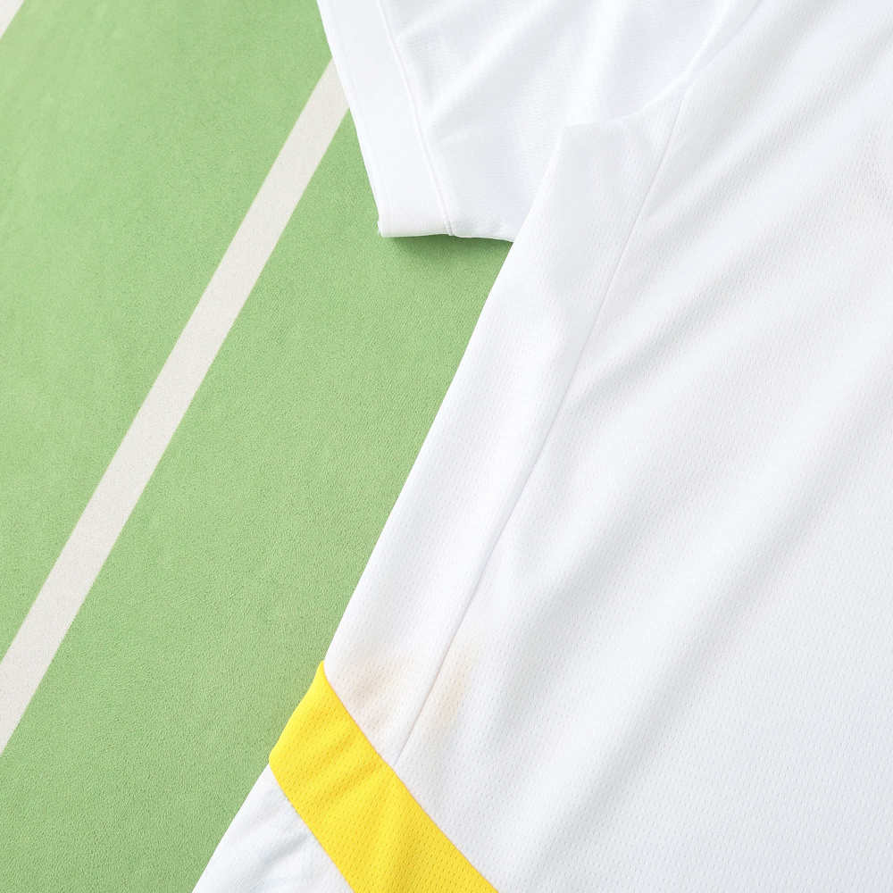2526 season Ghana home Fan version