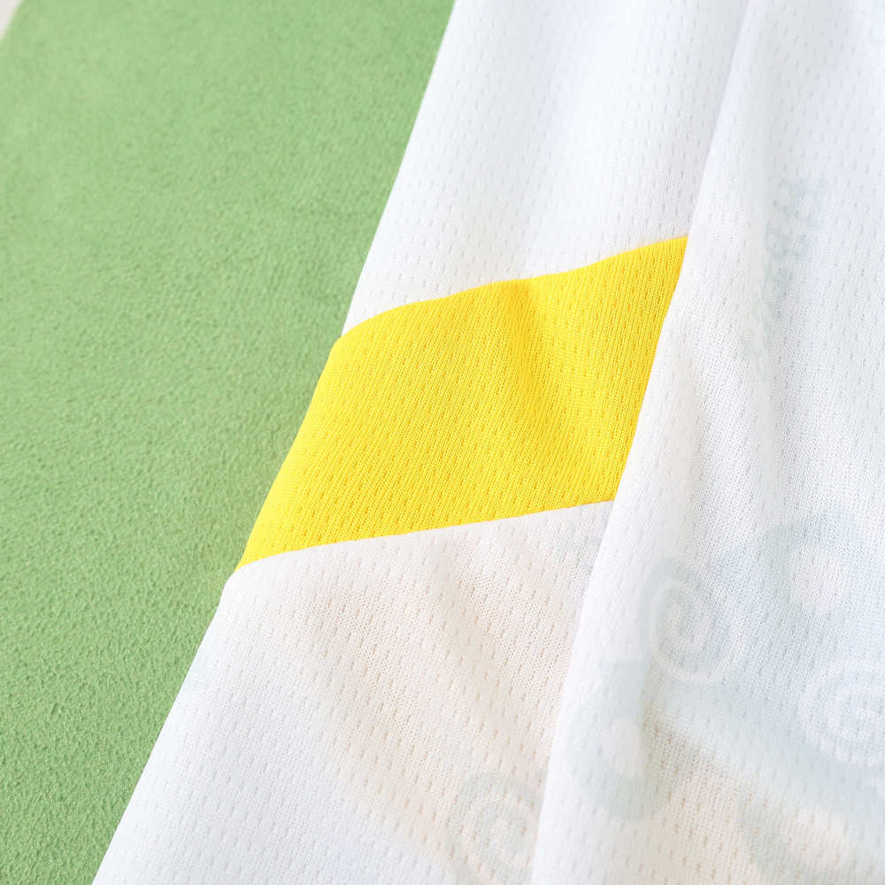 2526 season Ghana home Fan version