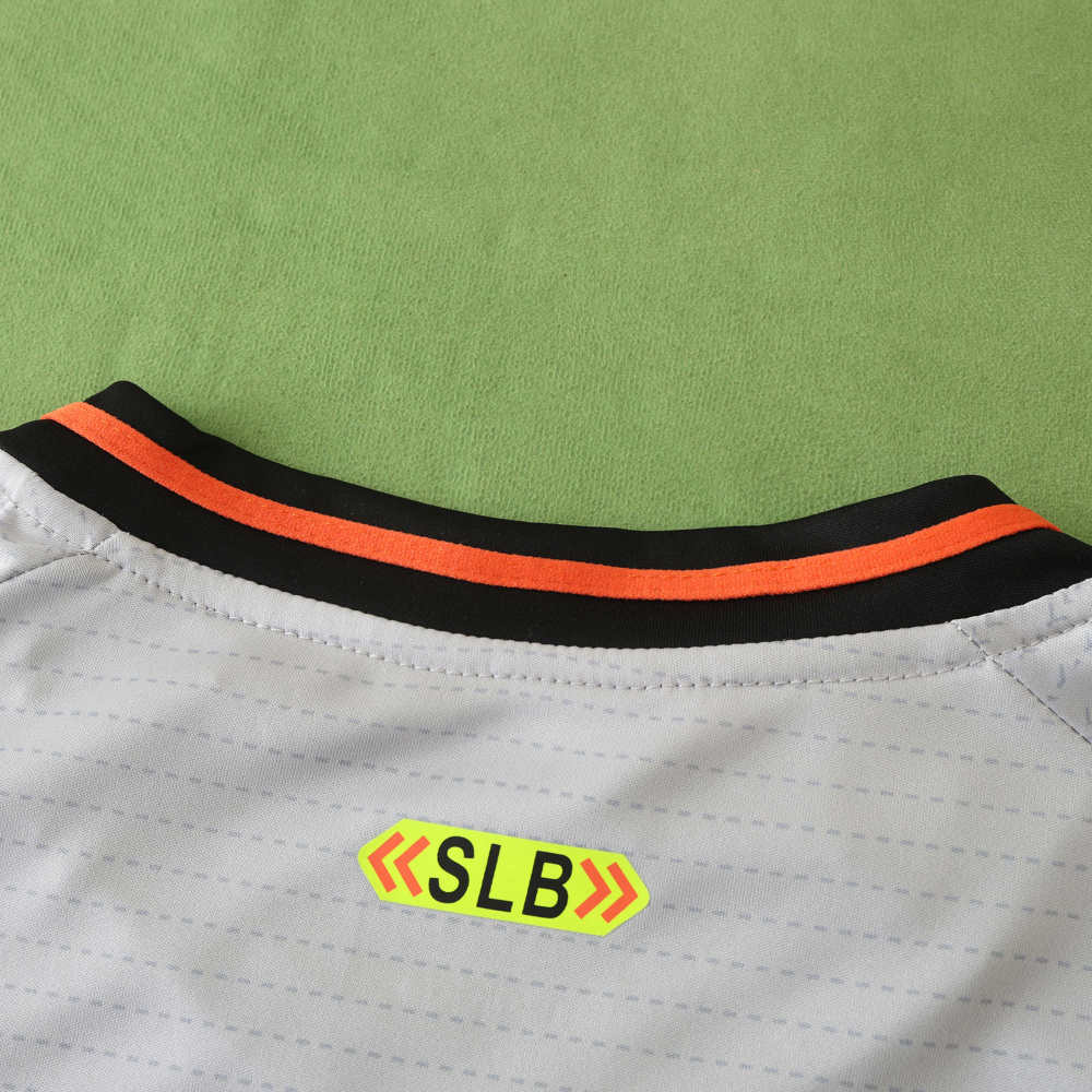 2425 season S.L. Benfica third Fan version