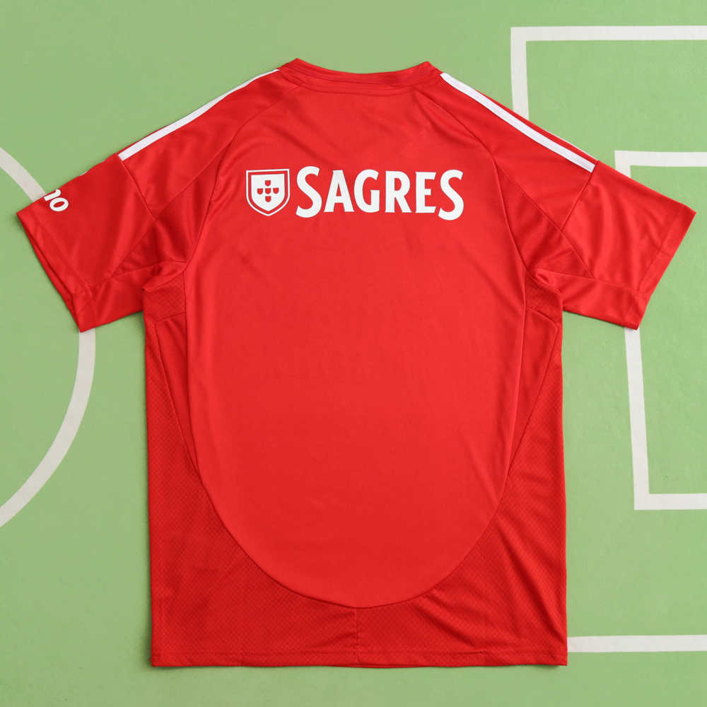 2425 season Benfica home Fan version