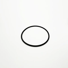 O-ring