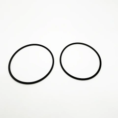 O-ring