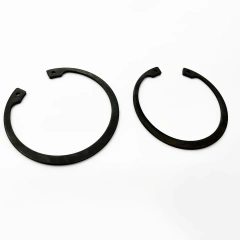 Piston Snap Ring