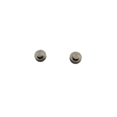 2pcs inlet poppet