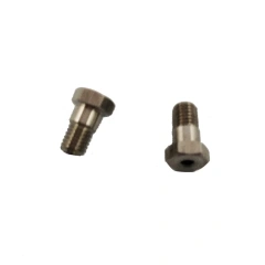 2pc inlet screw