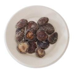 Vacuum Fried Shiitake Mushroom Chips