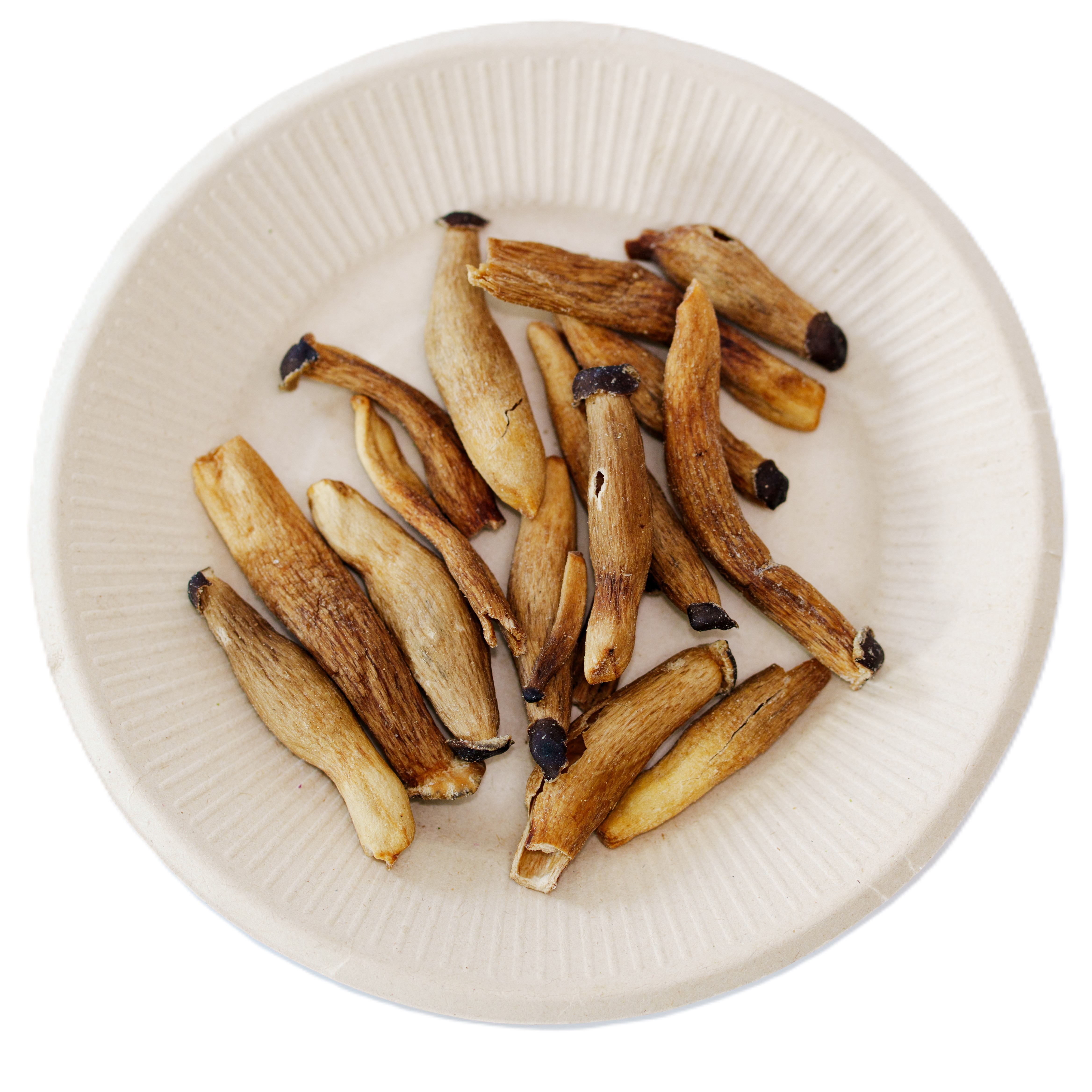 Vacuum Fried Velvet Pioppino Mushroom Chips